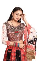 Multi Color Digital Print Chaniya Choli with Full Mirror Work
