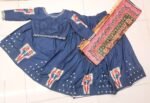 Dark Blue Digital Print Chaniya Choli with Full Mirror Work